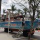 duck tours vehicle with palm trees in miami south beach