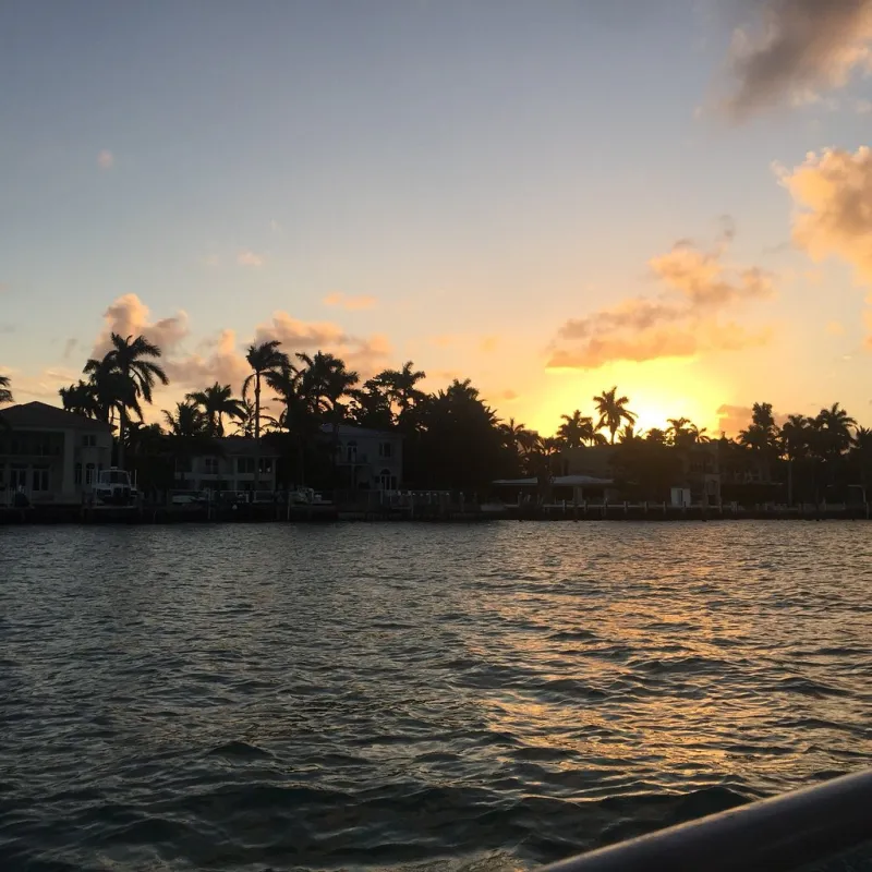 sunset palm trees on the bay duck tour miami