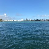 duck tour in the bay