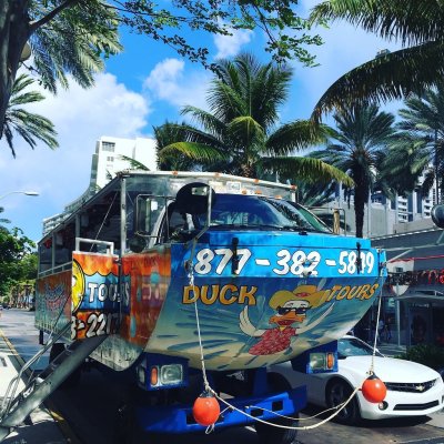 palm trees and duck tour vehicle